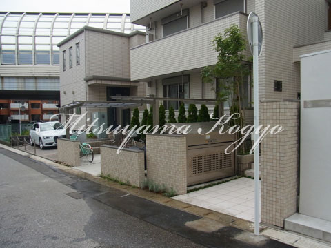 植栽 シマトネリコ　コニファー